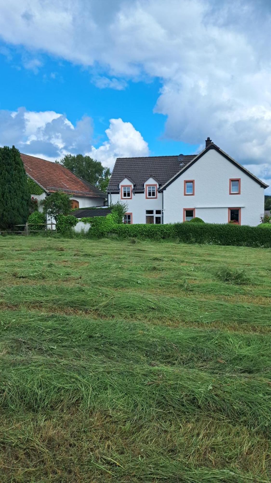 Ferienwohnung Eifelgold Esch Esch  Exteriör bild